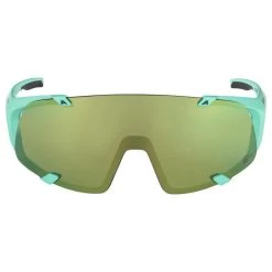 ALPINA HAWKEYE S Q-LITE GLASSES