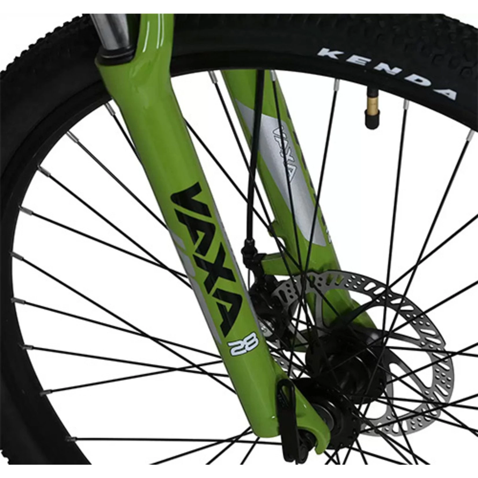 BARRACUDA ARIZONA 27.5" WHITE - Image 6