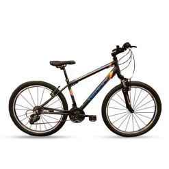 BENTINI PHOENIX ALLOY