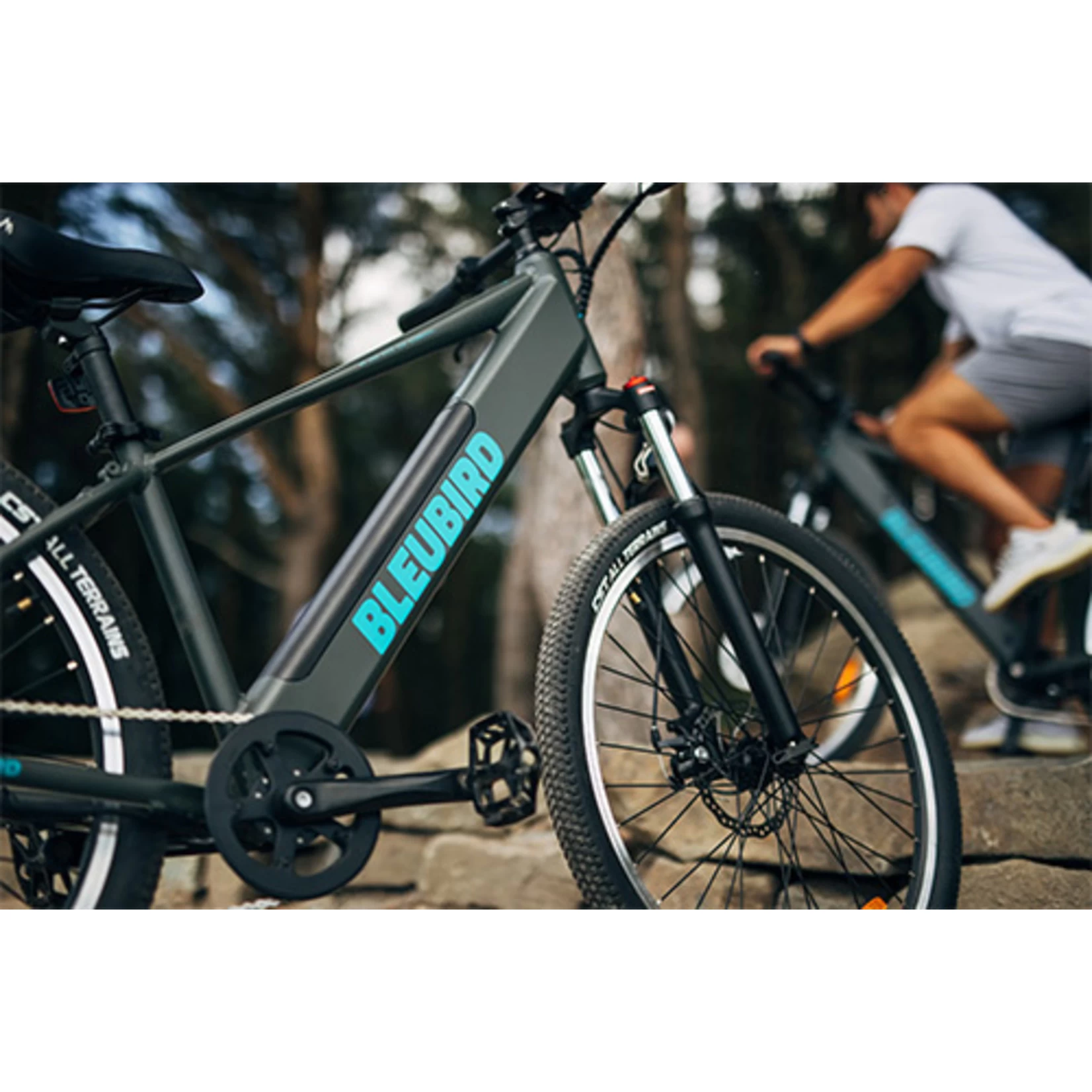 BLEUBIRD SUMMIT E-BIKE 29" - Image 5