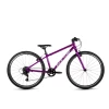 FORME KINDER 26" PURPLE