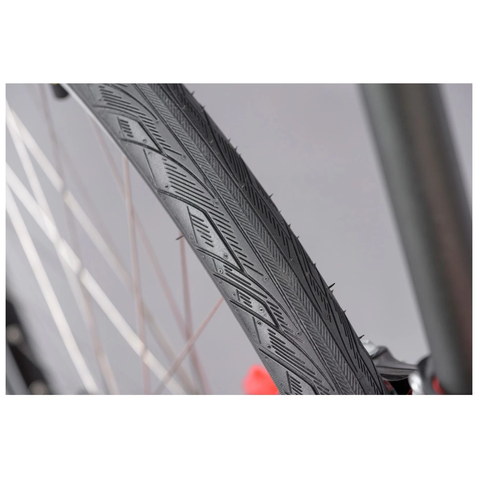 RIDGEBACK MOTION RED - Image 11