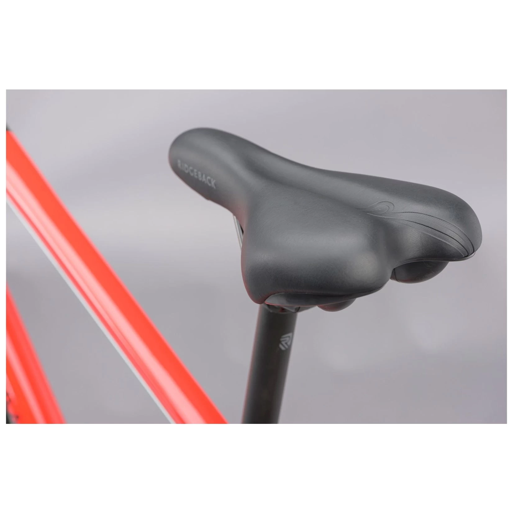 RIDGEBACK MOTION RED - Image 12