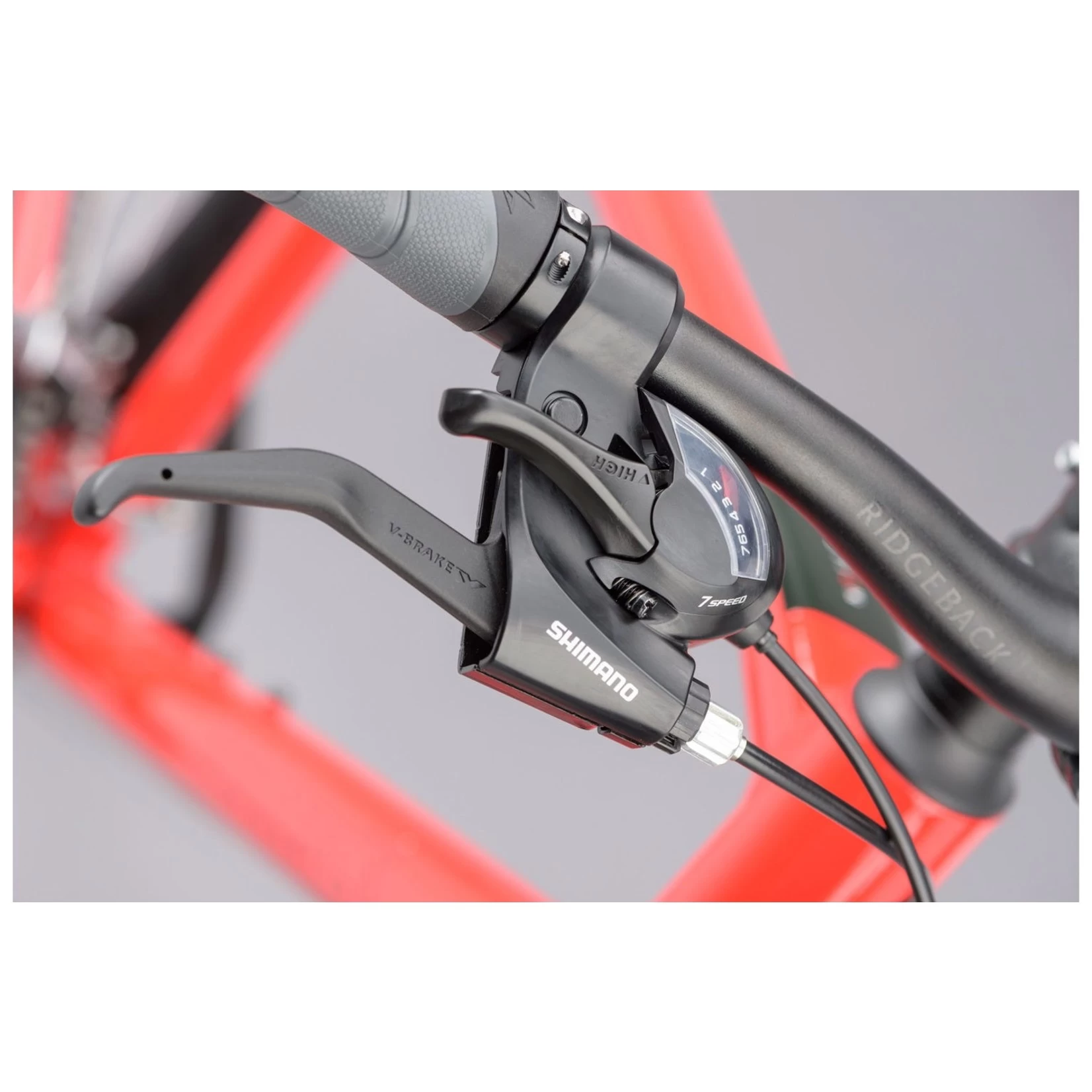 RIDGEBACK MOTION RED - Image 4