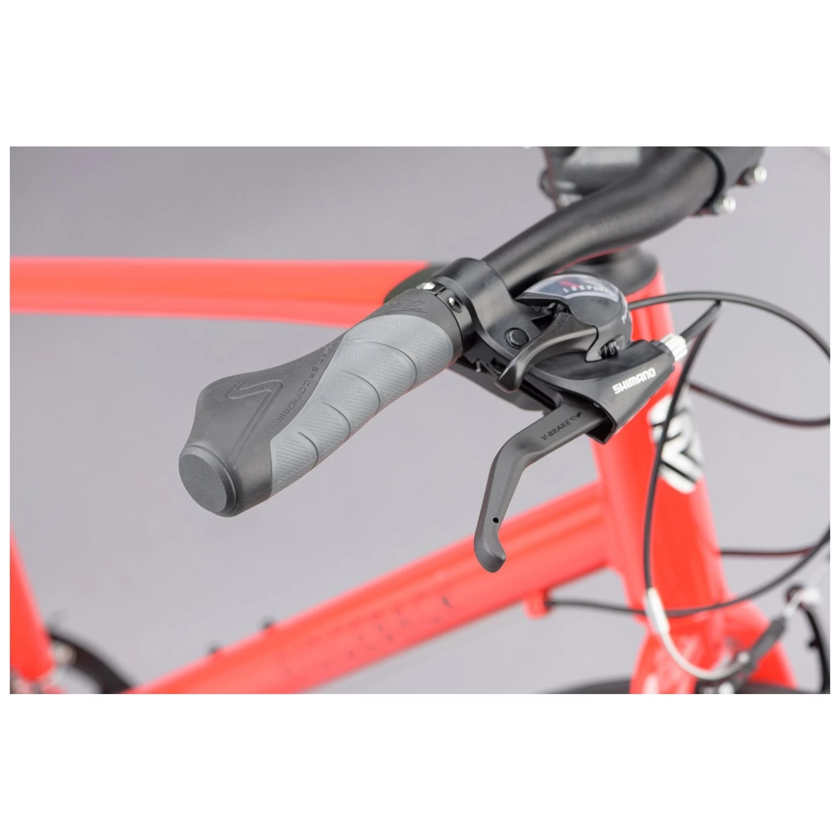 RIDGEBACK MOTION RED - Image 8