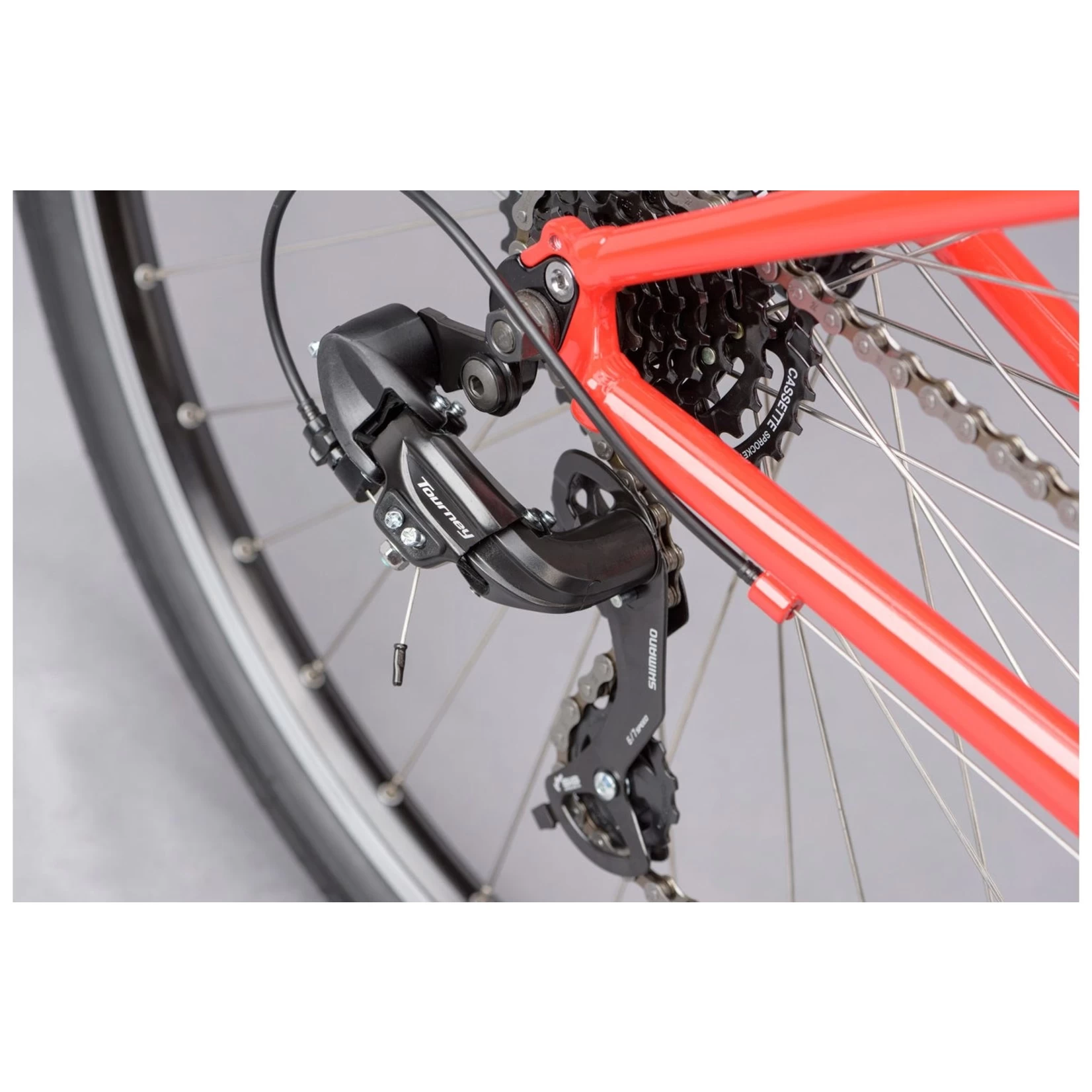 RIDGEBACK MOTION RED - Image 9