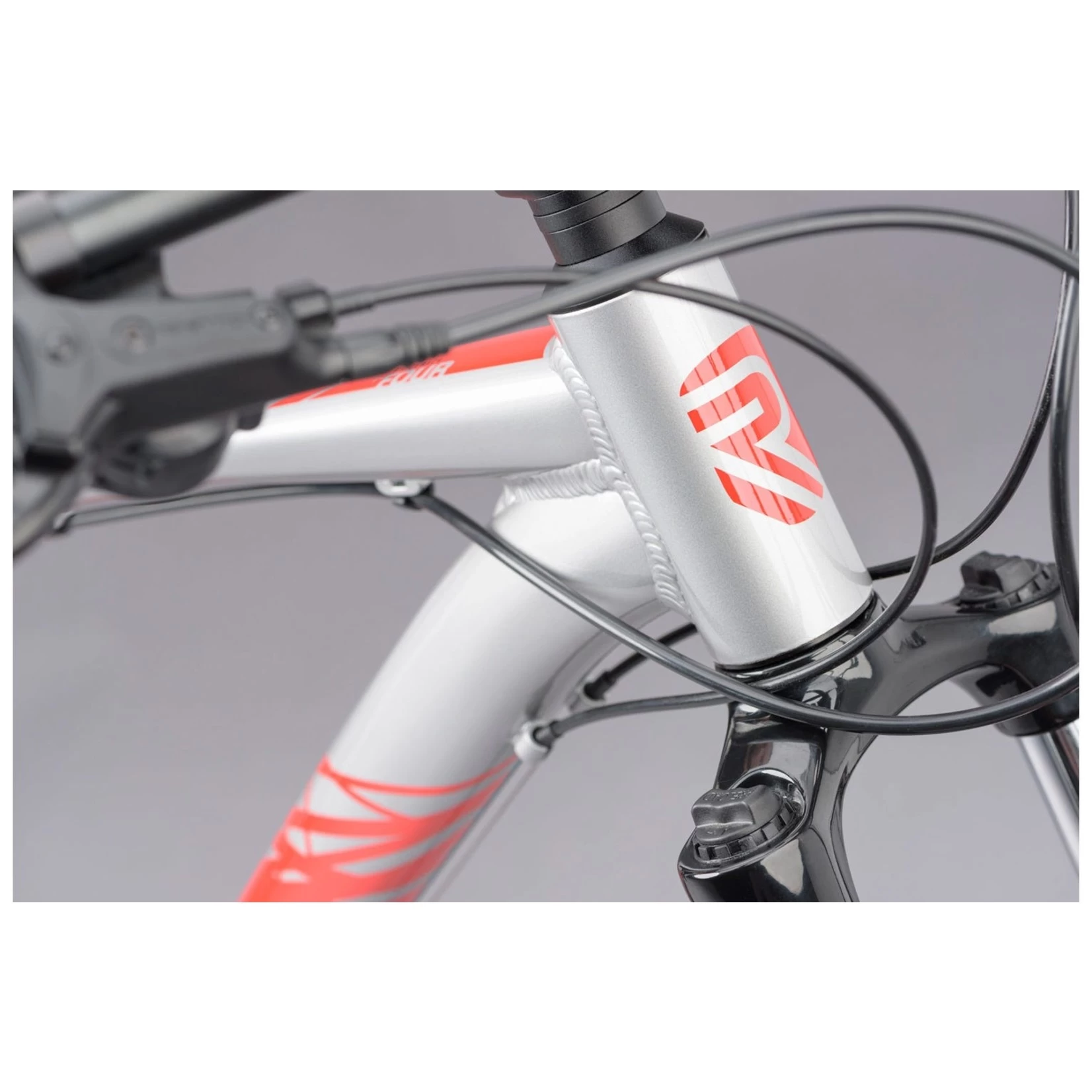 RIDGEBACK TERRAIN 4 - Image 4