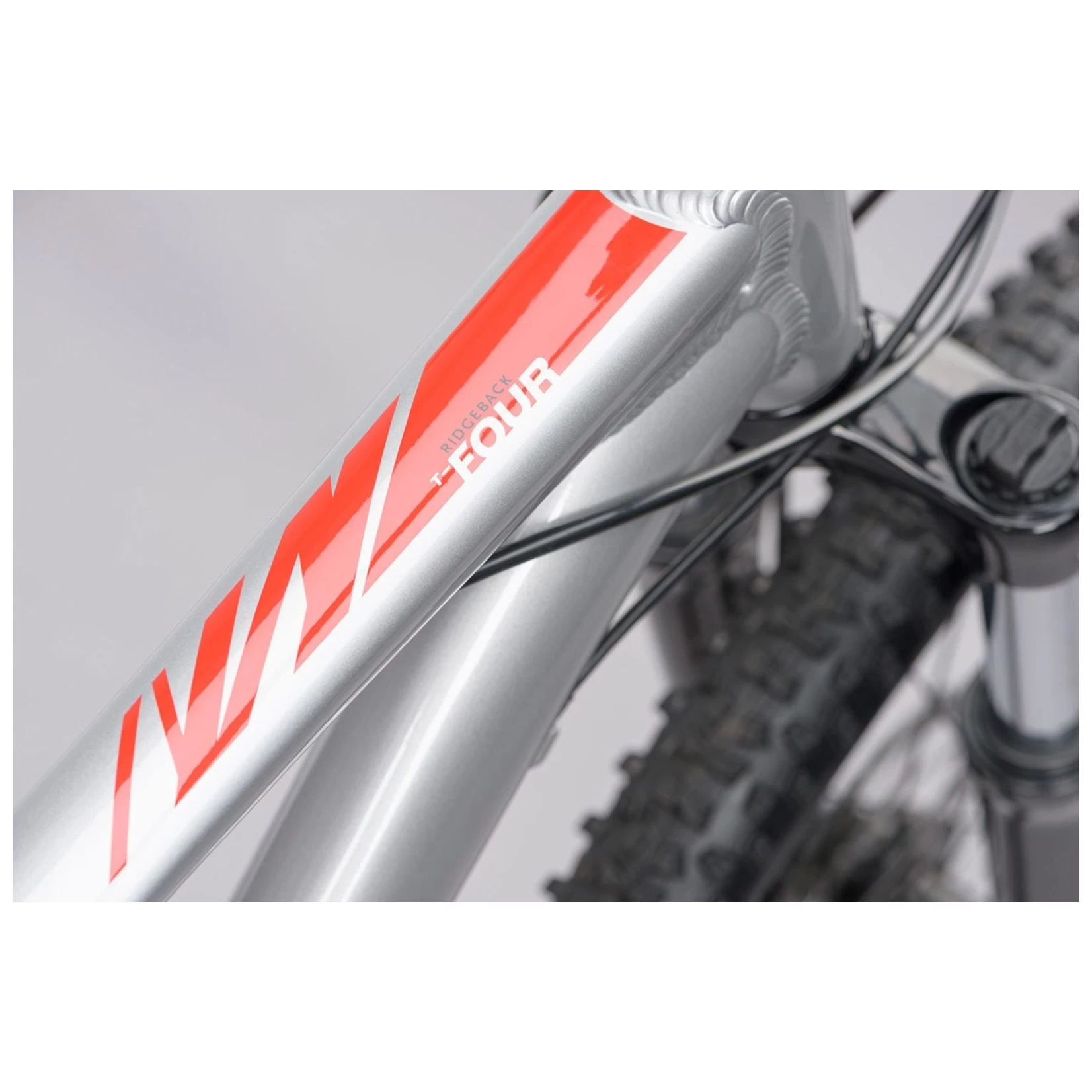 RIDGEBACK TERRAIN 4 - Image 8