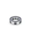 RS 6901 BEARING