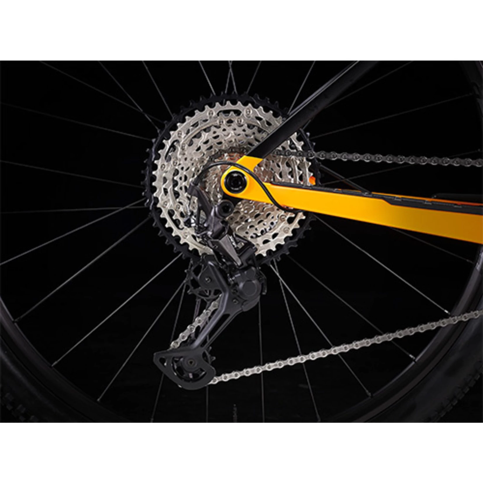 2023 TREK PROCALIBER 9.6 SATIN MARIGOLD/DEEP SMOKE - Image 4